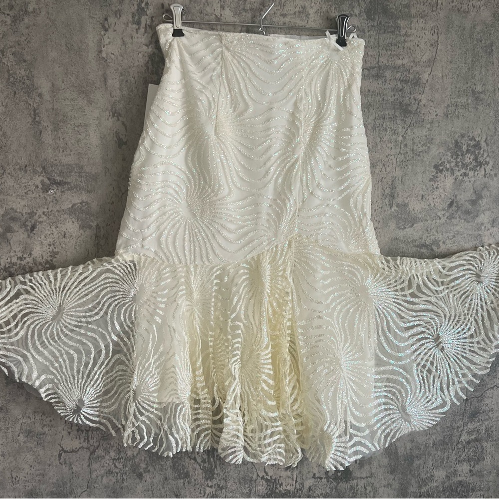 Unique beaded luxurious skirt extravagant skirt embroidered midi skirt dressy